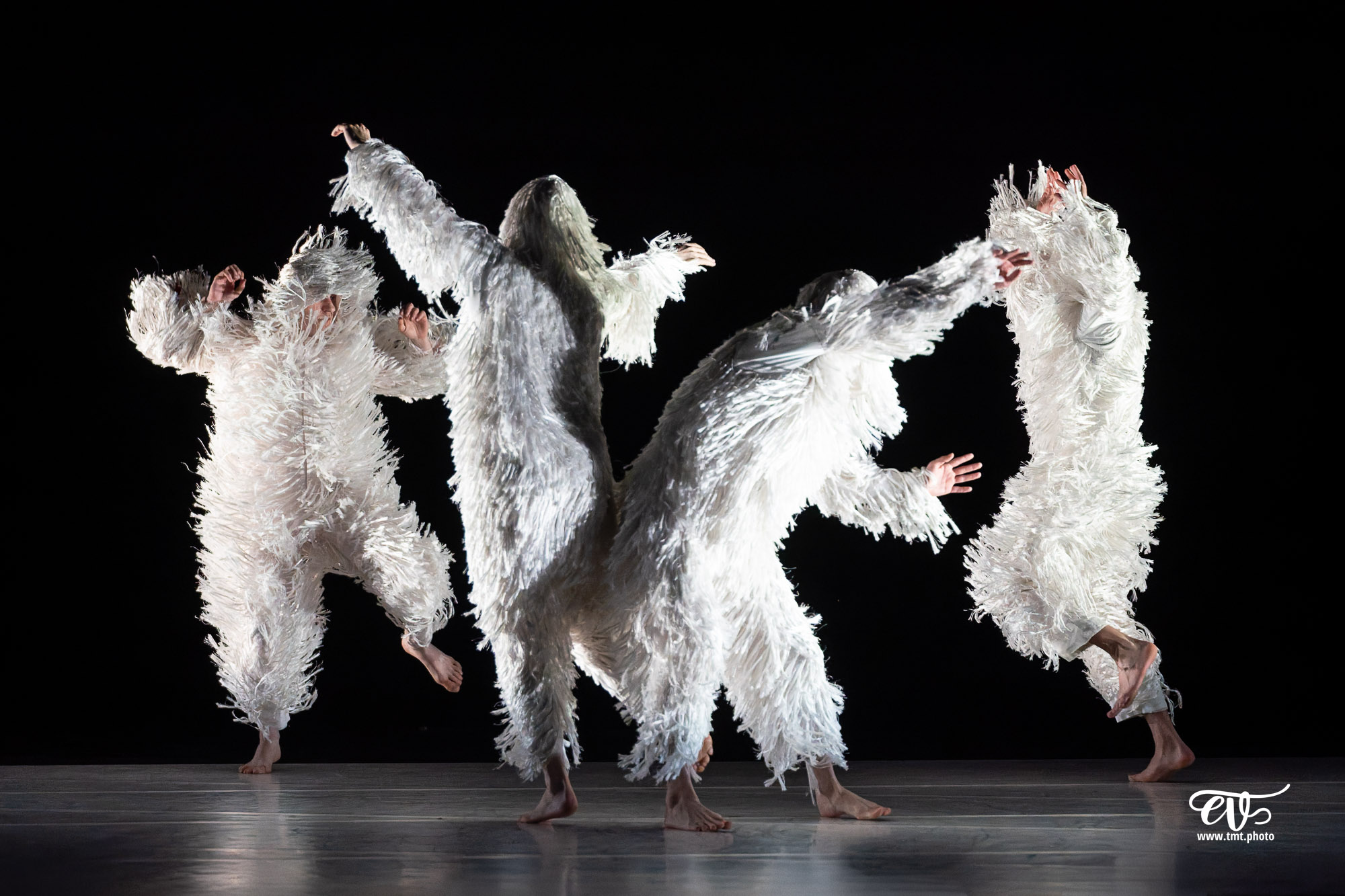 A4 (COMME LA FEUILLE) CIE CHICOS MAMBO